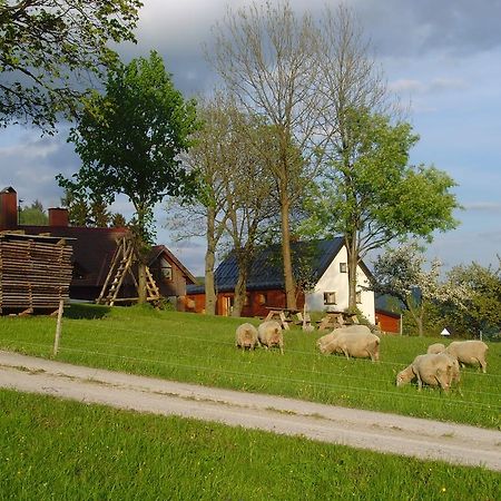 Maison d'hôtes Na Zvonici à Paseky nad Jizerou Extérieur photo