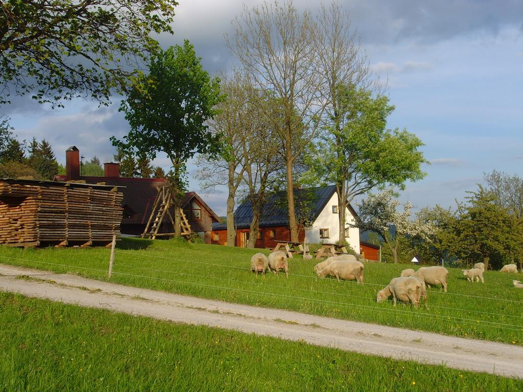 Maison d'hôtes Na Zvonici à Paseky nad Jizerou Extérieur photo